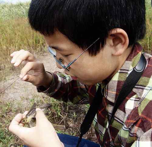 小小鸟人在行动 解救被困小鸟