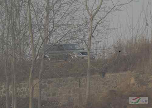 军车偷猎鸟 军人竟然打鸟 军车偷猎鸟 军人竟然打鸟