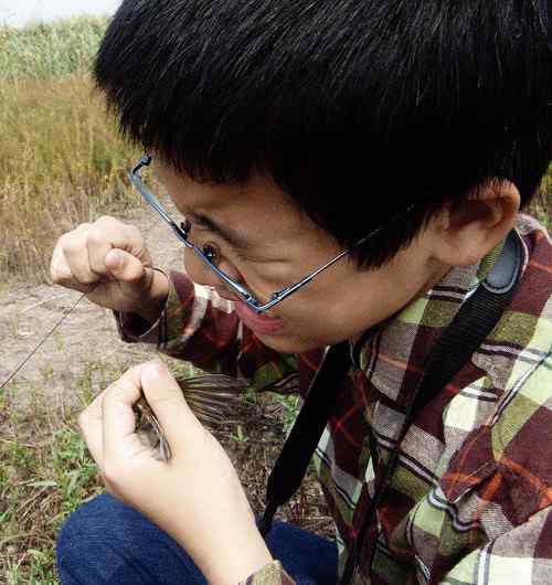 小小鸟人在行动 解救被困小鸟