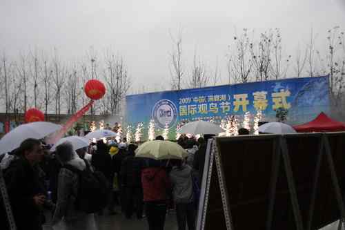 卡尔 蔡司杯第六届洞庭湖国际观鸟节盛况分享