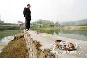 养殖户折断白鹭腿绑电杆上防其偷鱼