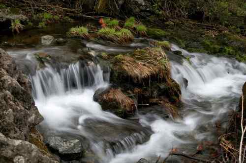 看看我长白山里的“宝贝”