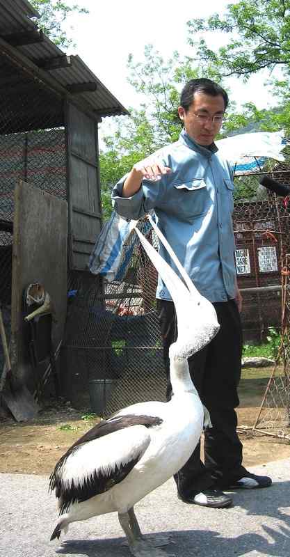 这些年干的这些(护鸟爱鸟)事 这些年干的这些(护鸟爱鸟)事