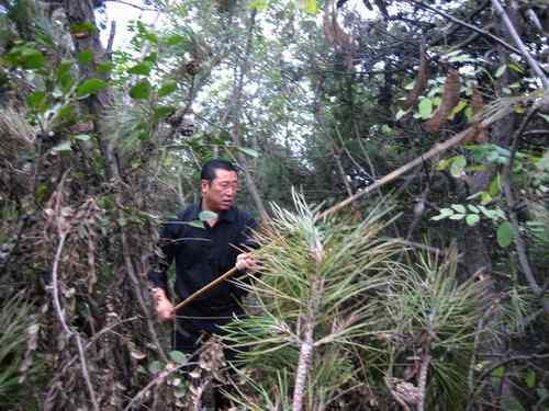 这些年干的这些（护鸟爱鸟）事