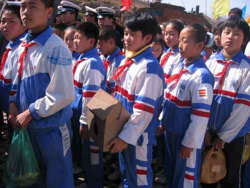 这些年干的这些(护鸟爱鸟)事 这些年干的这些(护鸟爱鸟)事