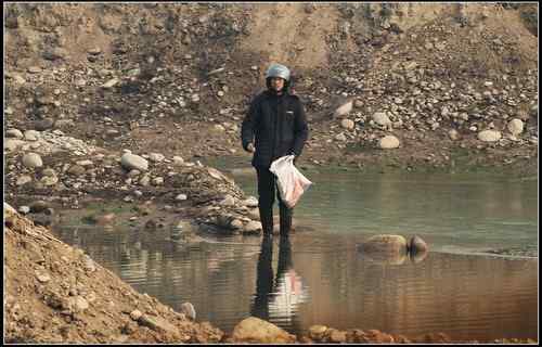 陕西眉县有人毒杀野鸭，大型涉禽类鸟