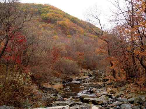 看看我长白山里的“宝贝”