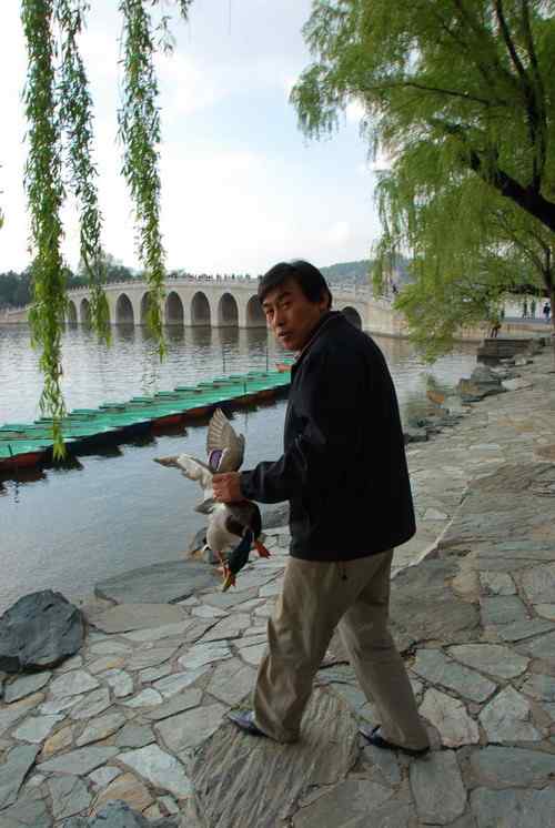 颐和园鸟人：绿头鸭蒙难获救记