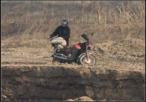 陕西眉县有人毒杀野鸭，大型涉禽类鸟