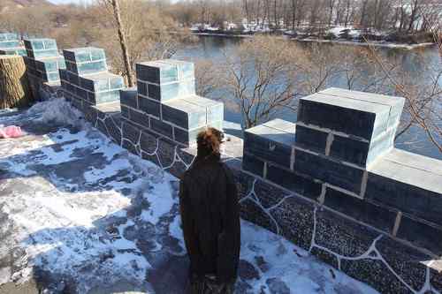 可怜(幸运)的秃鹫 可敬(可爱)的年轻人