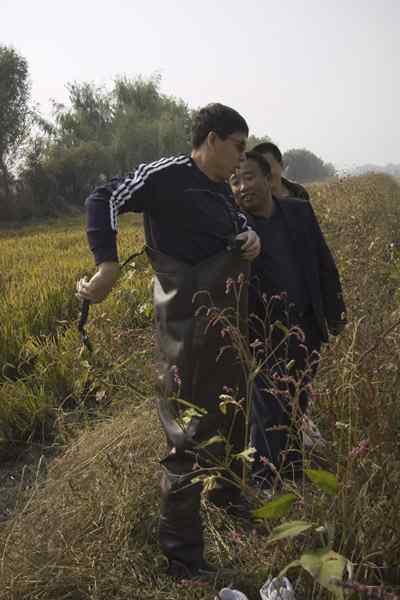 辽宁铁岭鸟人：联动救苍鹭