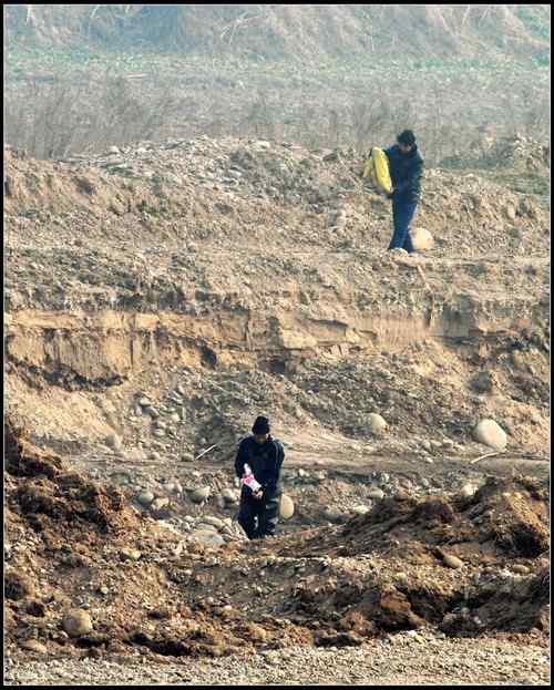 陕西眉县有人毒杀野鸭，大型涉禽类鸟
