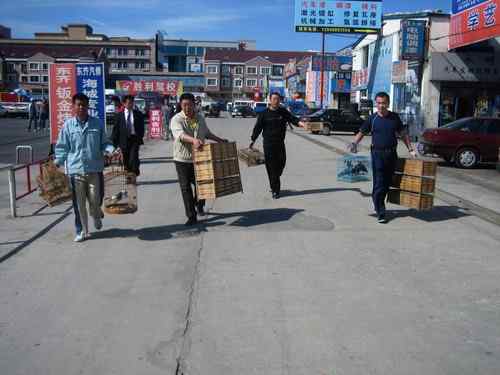 这些年干的这些(护鸟爱鸟)事 这些年干的这些(护鸟爱鸟)事