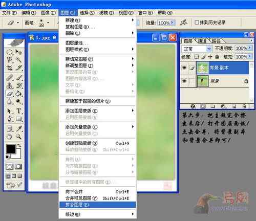 鸟片一种背景降噪的方法！