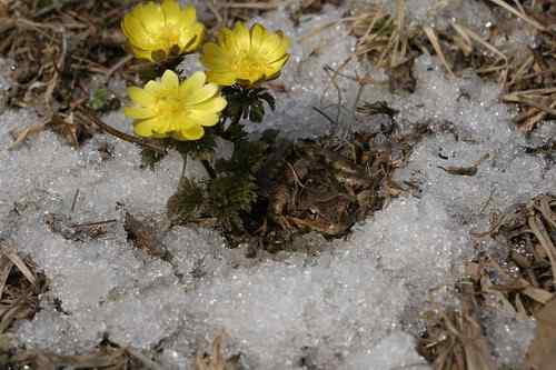 看看我长白山里的“宝贝”
