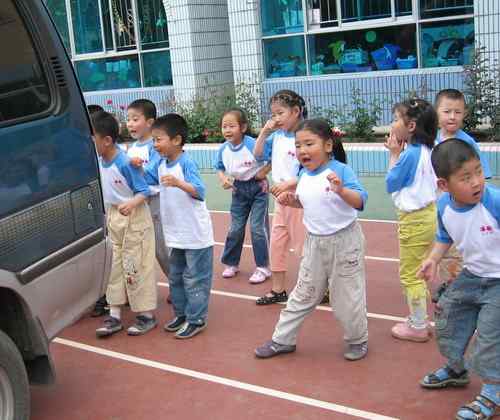 这些年干的这些(护鸟爱鸟)事 这些年干的这些(护鸟爱鸟)事