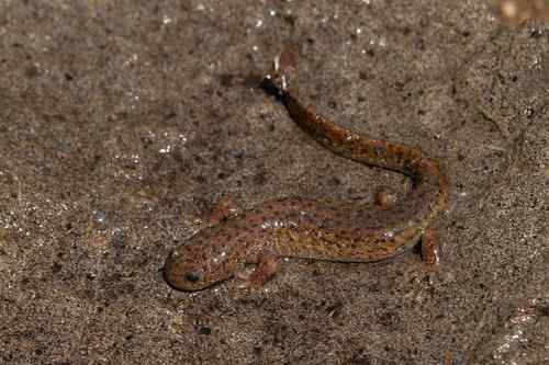 看看我长白山里的“宝贝”