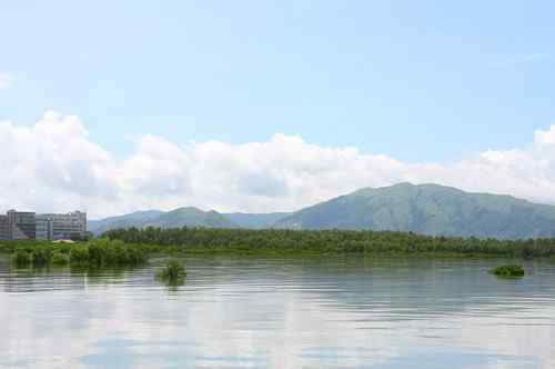 不一样的深圳湾，不一样的红树林：鸟儿的天堂