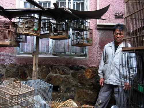 这些年干的这些（护鸟爱鸟）事