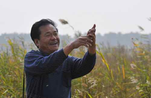 拯救鸟网上的黑喉石(即鸟)