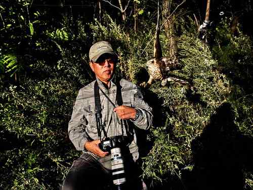 大连旅顺老铁山：发一组鸟友救鸟的照片