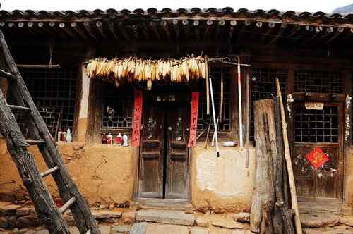 一只逝去的苍鹭