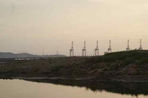 呼吁：珍惜深圳另一个“红树林”