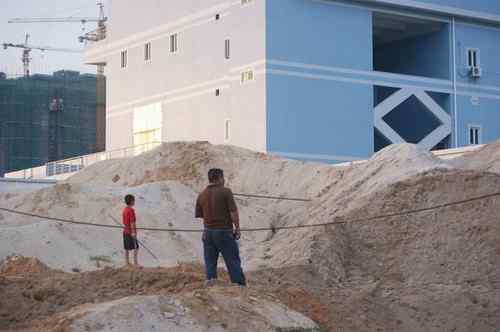 呼吁：珍惜深圳另一个“红树林”