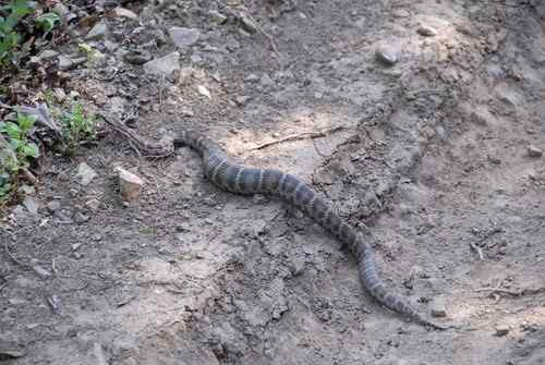 看看我长白山里的“宝贝”