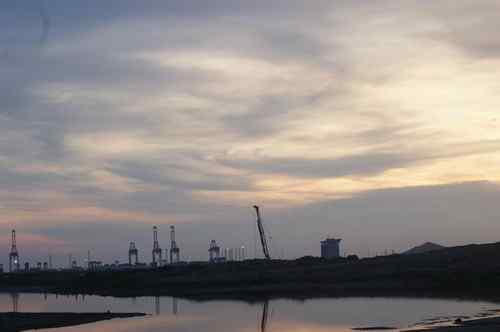 呼吁：珍惜深圳另一个“红树林”