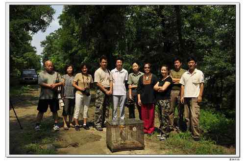 放飞记实:重伤的牛背鹭