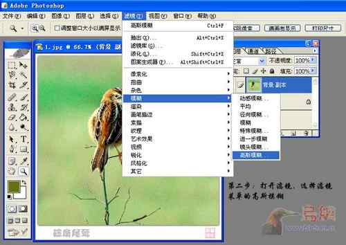 鸟片一种背景降噪的方法！