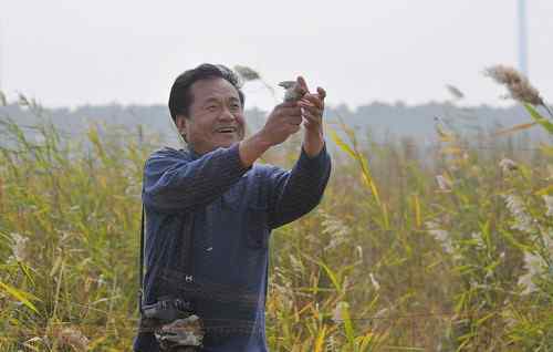 拯救鸟网上的黑喉石(即鸟)