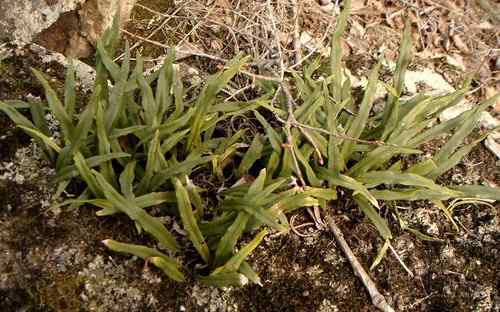看看我长白山里的“宝贝”