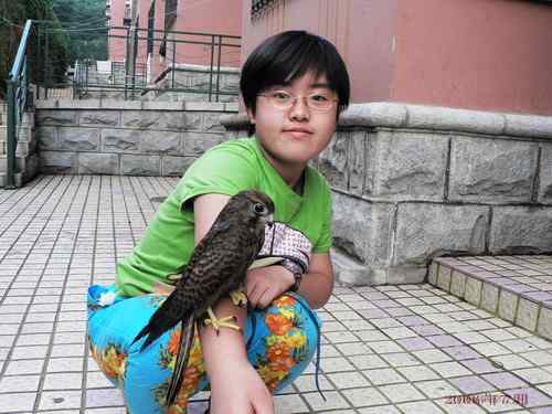 曾经救治过的野生动物