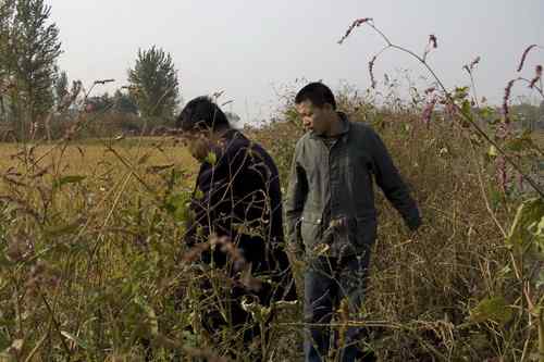 辽宁铁岭鸟人：联动救苍鹭