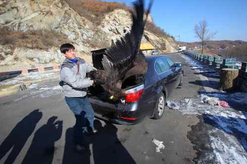 可怜(幸运)的秃鹫 可敬(可爱)的年轻人