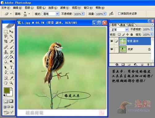 鸟片一种背景降噪的方法！