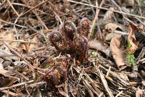 看看我长白山里的“宝贝”