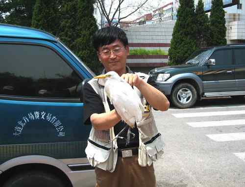 这些年干的这些(护鸟爱鸟)事 这些年干的这些(护鸟爱鸟)事