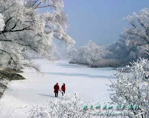 鸟网创始人段文科湿地拍鸟生涯