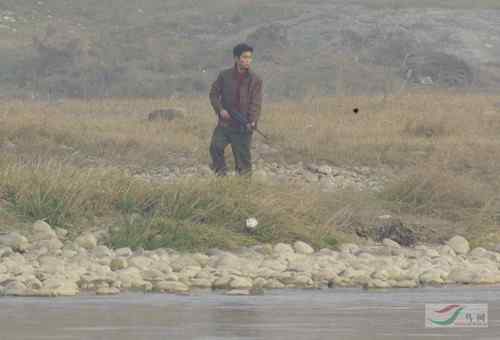 军车偷猎鸟 军人竟然打鸟