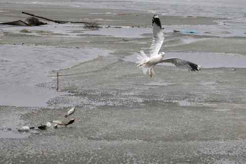 这是他杀？还是自杀？