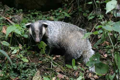 看看我长白山里的“宝贝”