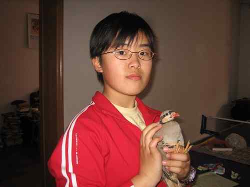 曾经救治过的野生动物