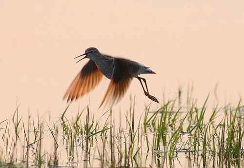 拍摄物的福祉更重于摄影本身
