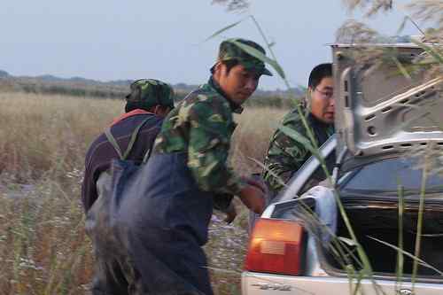 大庆有四人持枪狩猎（2008，09，14