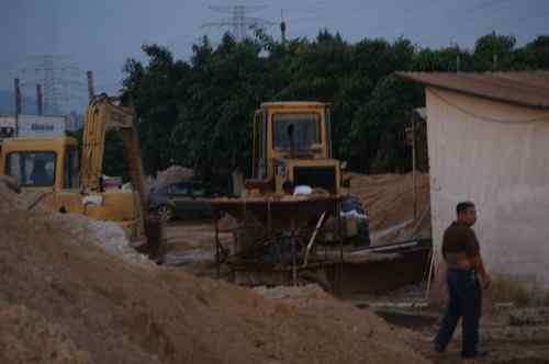 呼吁：珍惜深圳另一个“红树林”