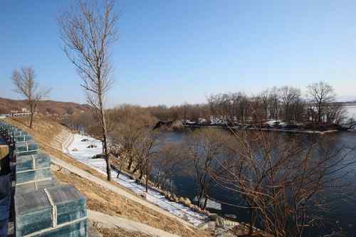 可怜(幸运)的秃鹫 可敬(可爱)的年轻人