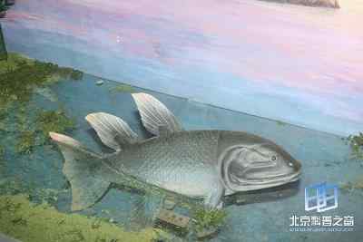 肉鳍类呼吸与行动对登陆的适应